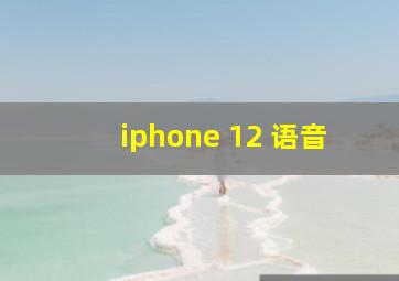 iphone 12 语音